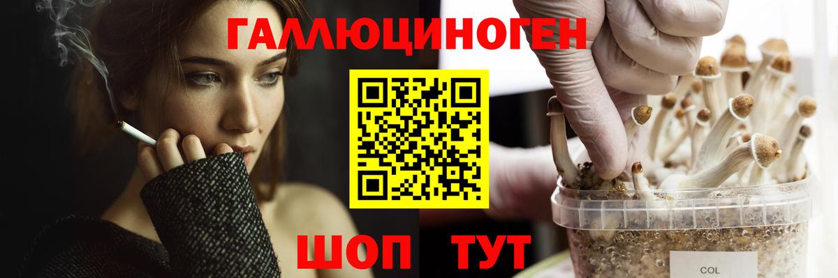 Биробиджан  Галлюциногенные грибы прущие грибы  Вход с VPN  Галлюциногенные грибы ЛСД 